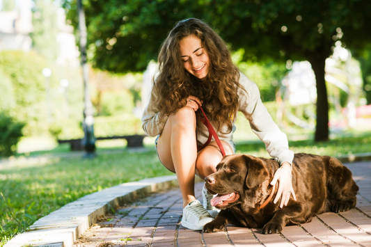 Keeping Your Pet Healthy and Happy: Tips for Optimal Well-being with Pet Planet's Wellness Guide